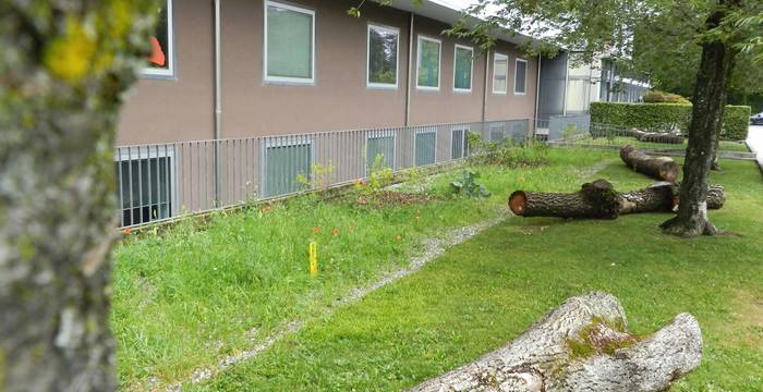 Massnahmen 2020 Pérolles