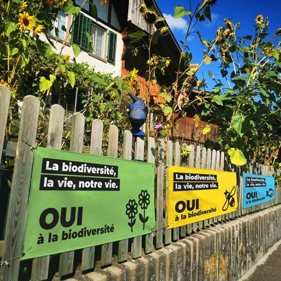 Bannières de l'initiative